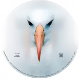 Albatros